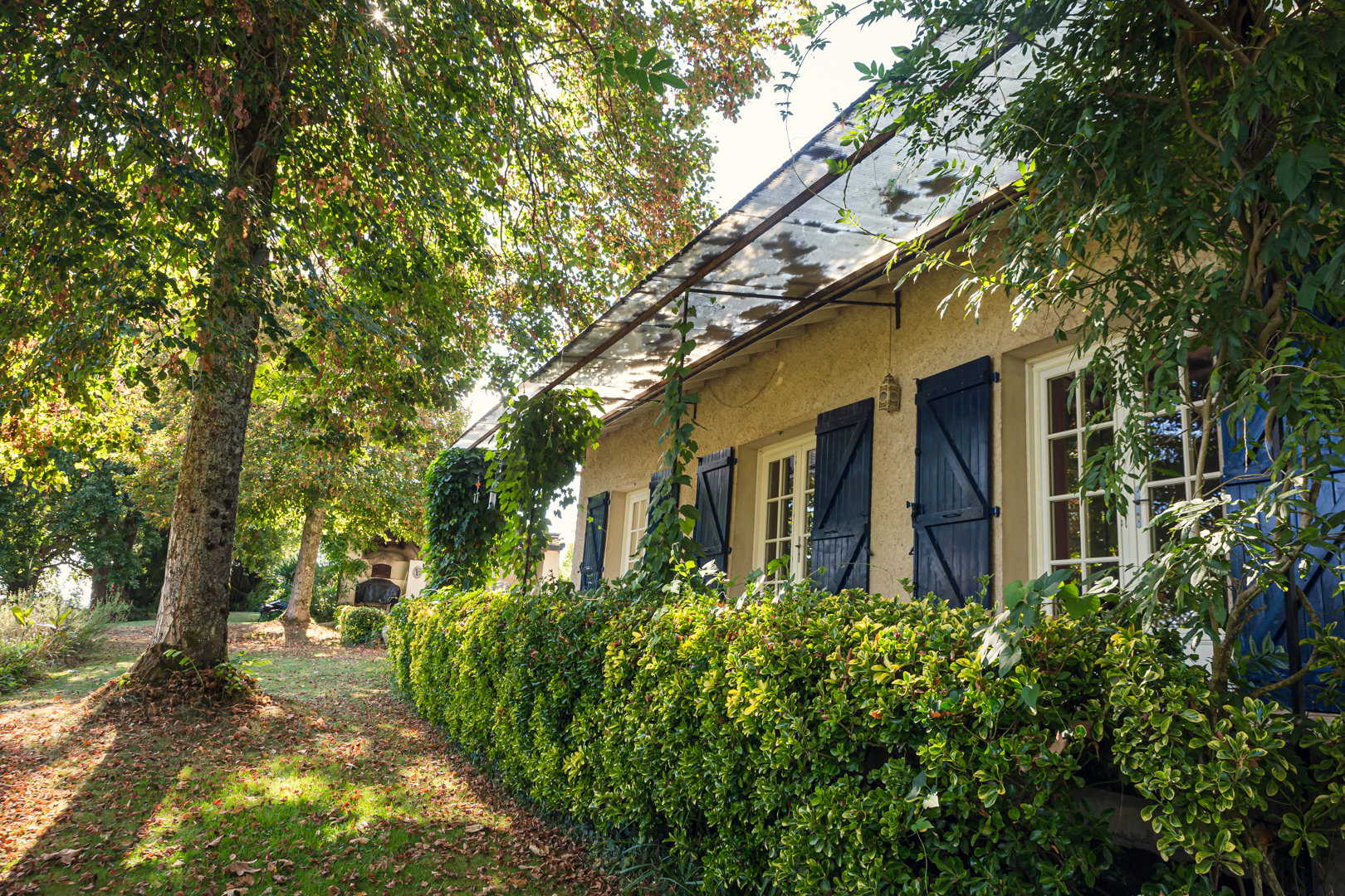 à l'ombre des tilleuils