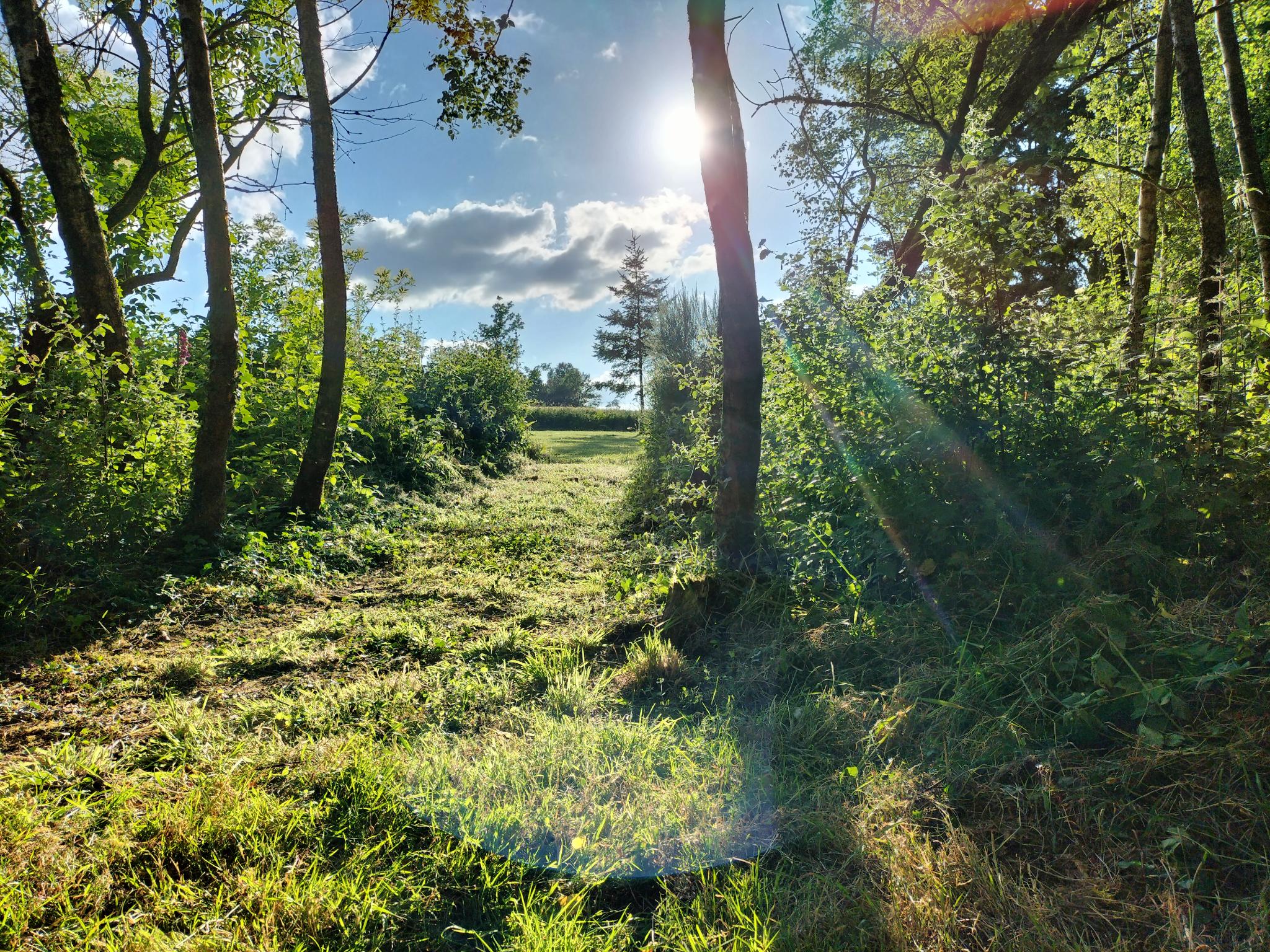L'entrée dans notre bois