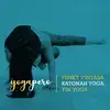 Yogapéro Dijon - Yoga Vinyasa / Katonah / Yin 