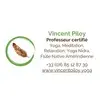 Vincent Piloy - Yoga à Troyes et dans l'Aube