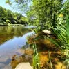 La rivière Aulne qui longe notre bois