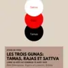 Affiche du stage sur les trois guna