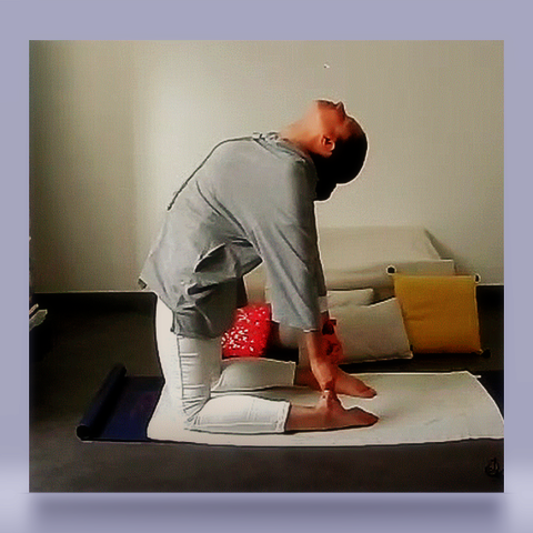 Cours particuliers et cours collectifs en ligne et en salle-Stages-Ateliers-Conférences-