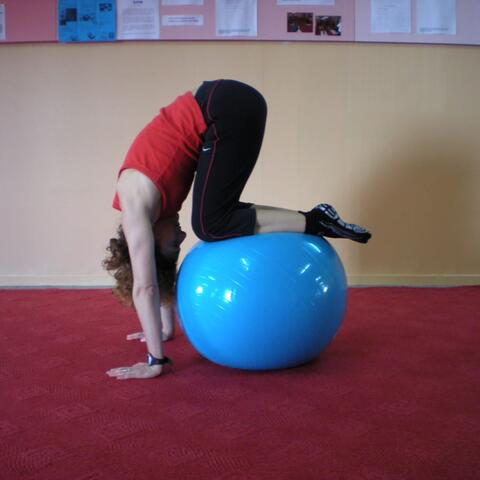 Cours collectifs Pilates sur tapis et Hatha Yoga