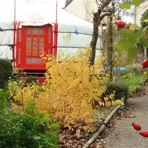 Les stages se déroulent dans une vraie yourte mongole installée dans le jardin, au milieu des arbres et des fleurs.