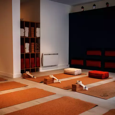 Ginkgo yoga studio Lyon