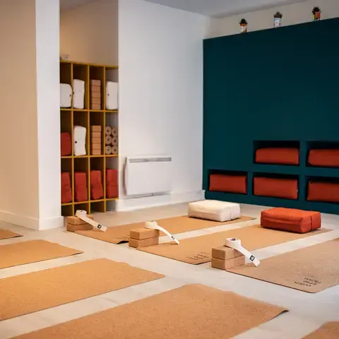 Ginkgo yoga studio Lyon