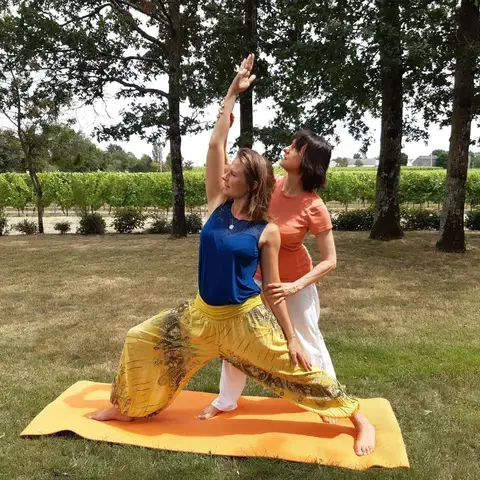 ENSEIGNE TOUS LES TYPES DE YOGA ET LE YOGA POSTURAL TRADITION IYENGAR AVEC LES APPORTS D'UN OSTEPOATHE