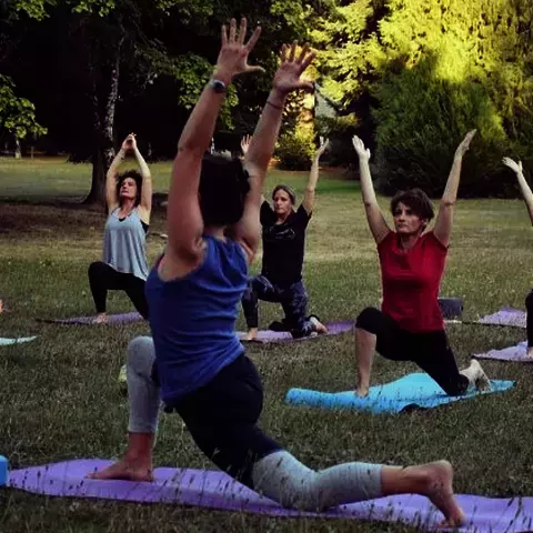 Vinyasa Yoga - cours collectif 