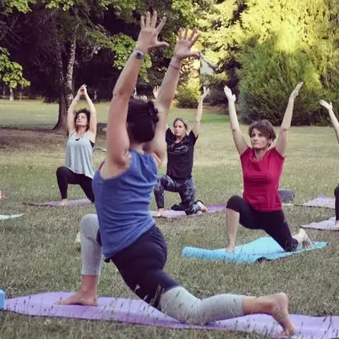 Vinyasa Yoga - cours collectif 