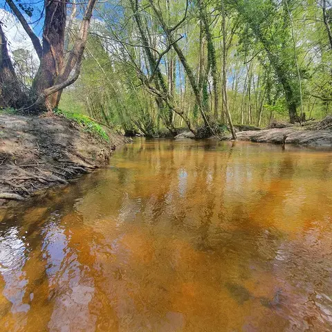 RIVIERE SUR LE DOMAINE