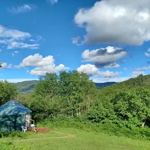 vue d'une yourte et du jardin