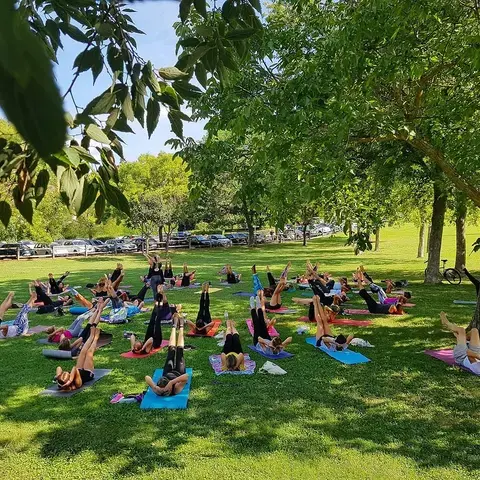 Cours de Yoga en plein air au Parc de la Torse à Aix en Provence