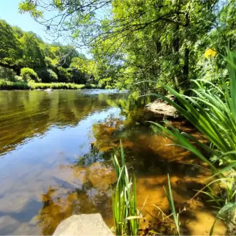 La rivière Aulne qui longe notre bois