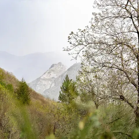 retraite silence yoga nature retraite silence yoga nature