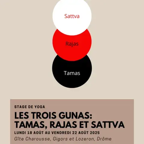 Affiche du stage sur les trois guna