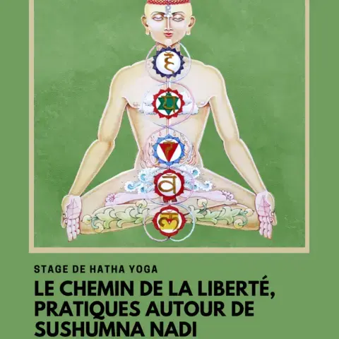 Affiche de la formation: Le chemin de la liberté, pratiques autour de sushumna nadi