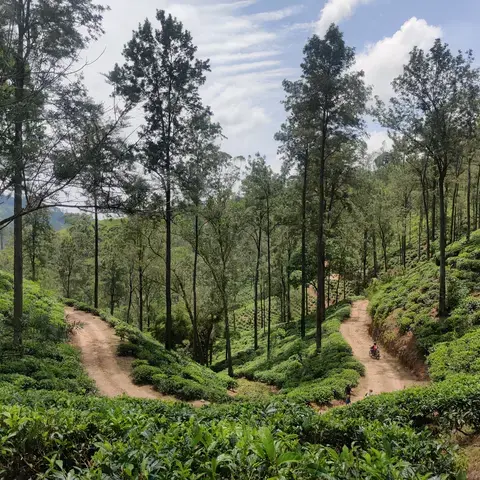 C’est une île qui invite au ralentissement, où la nature, le climat et la culture soutiennent naturellement le soin et l’introspection.