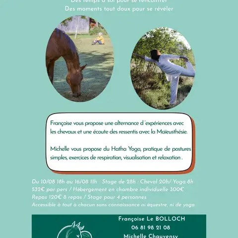 Expérience immersive cheval et yoga 