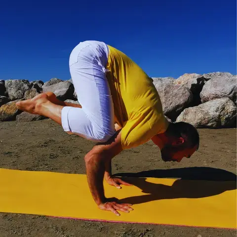 kakasana