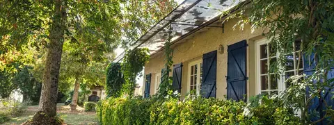 à l'ombre des tilleuils