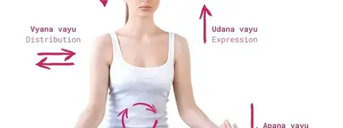 vayus yoga vayus yoga