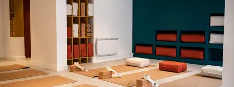 Ginkgo yoga studio Lyon