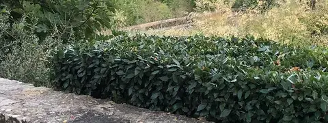 Vue sur la vallée du Célé