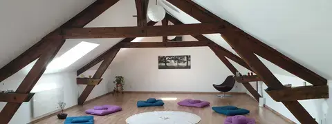 Espace de la Chouette blanche, Dijon