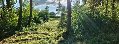 L'entrée dans notre bois