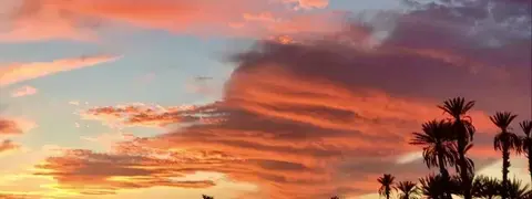 Coucher de soleil dans la palmeraie