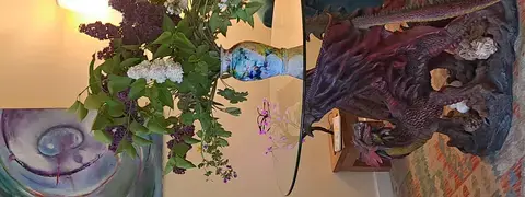 Espace consultation salle