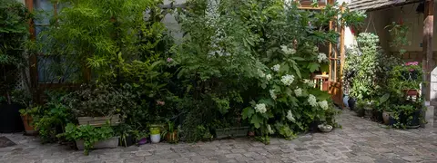 La cour et le jardin de la Cité des Consciences