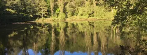 Lac privatif du Domaine de La Planésié, eau calme et reflets des arbres