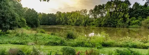 Etang de 1,4 ha classé Refuge LPO