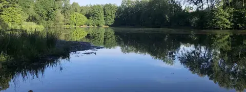 Etang de 1,4 ha classé Refuge LPO