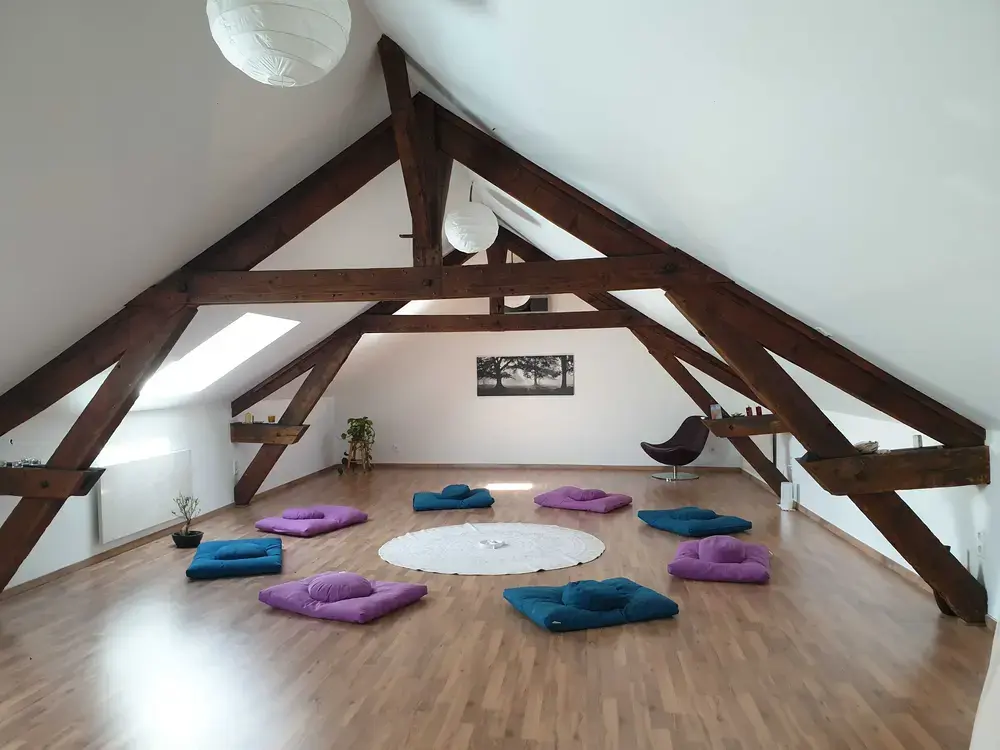 Espace de la Chouette blanche, Dijon
